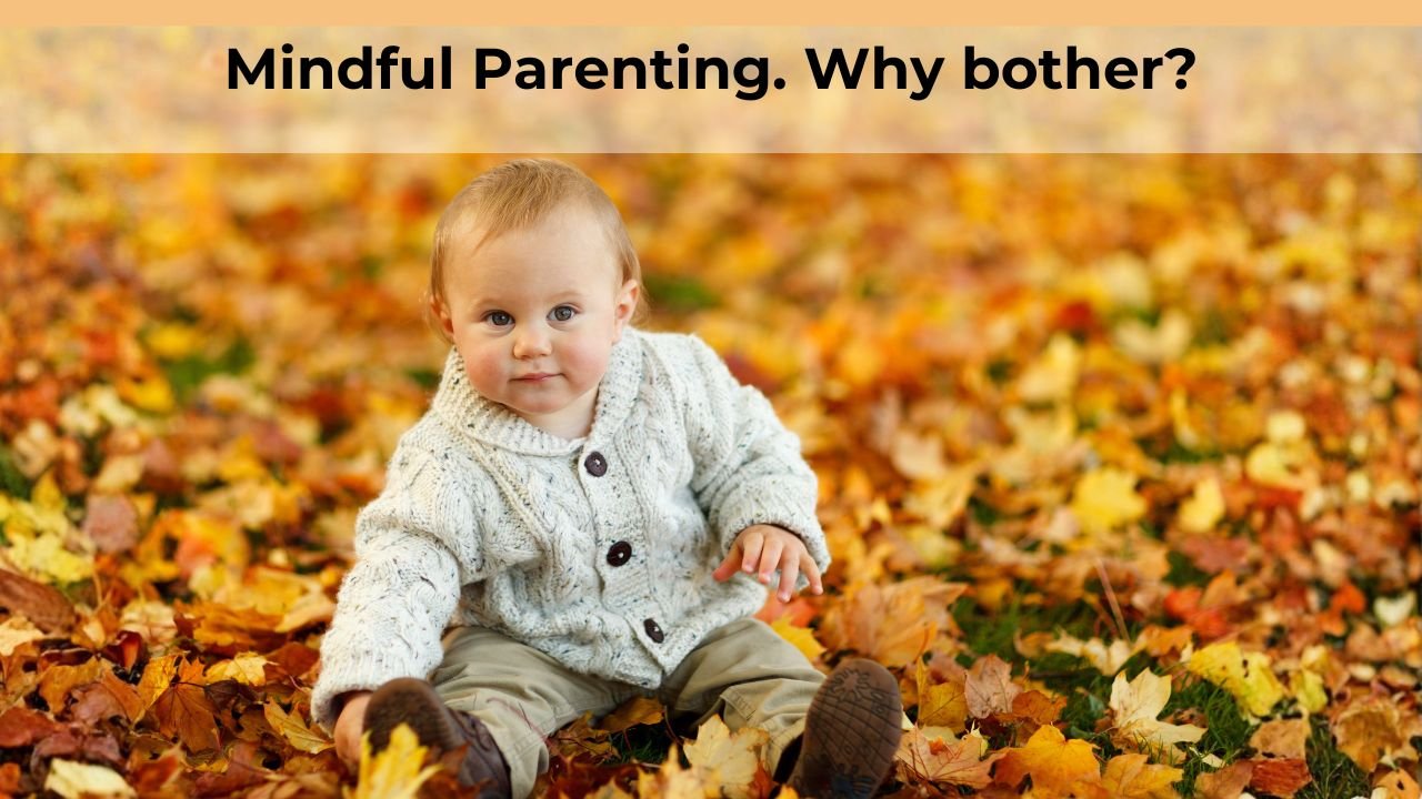 Mindful Parenting Why Bother